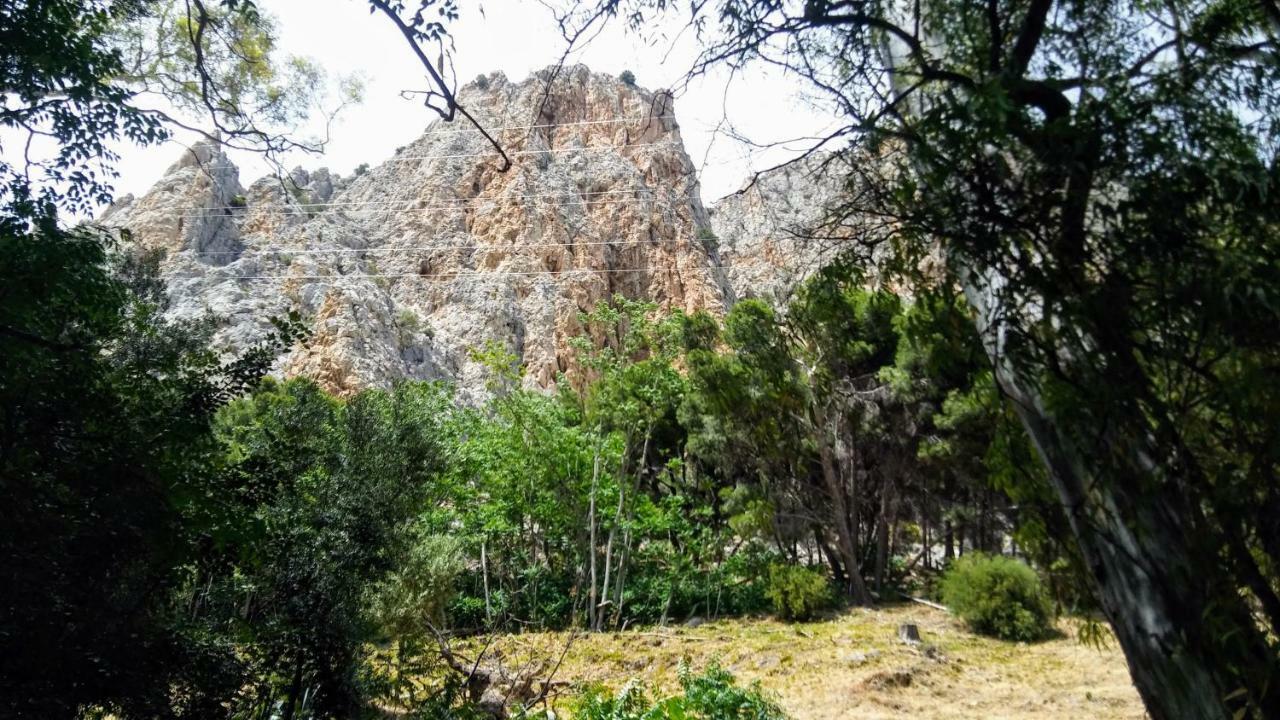 Casa Encina - Encinasola Turismo Rural. 埃尔乔罗 外观 照片